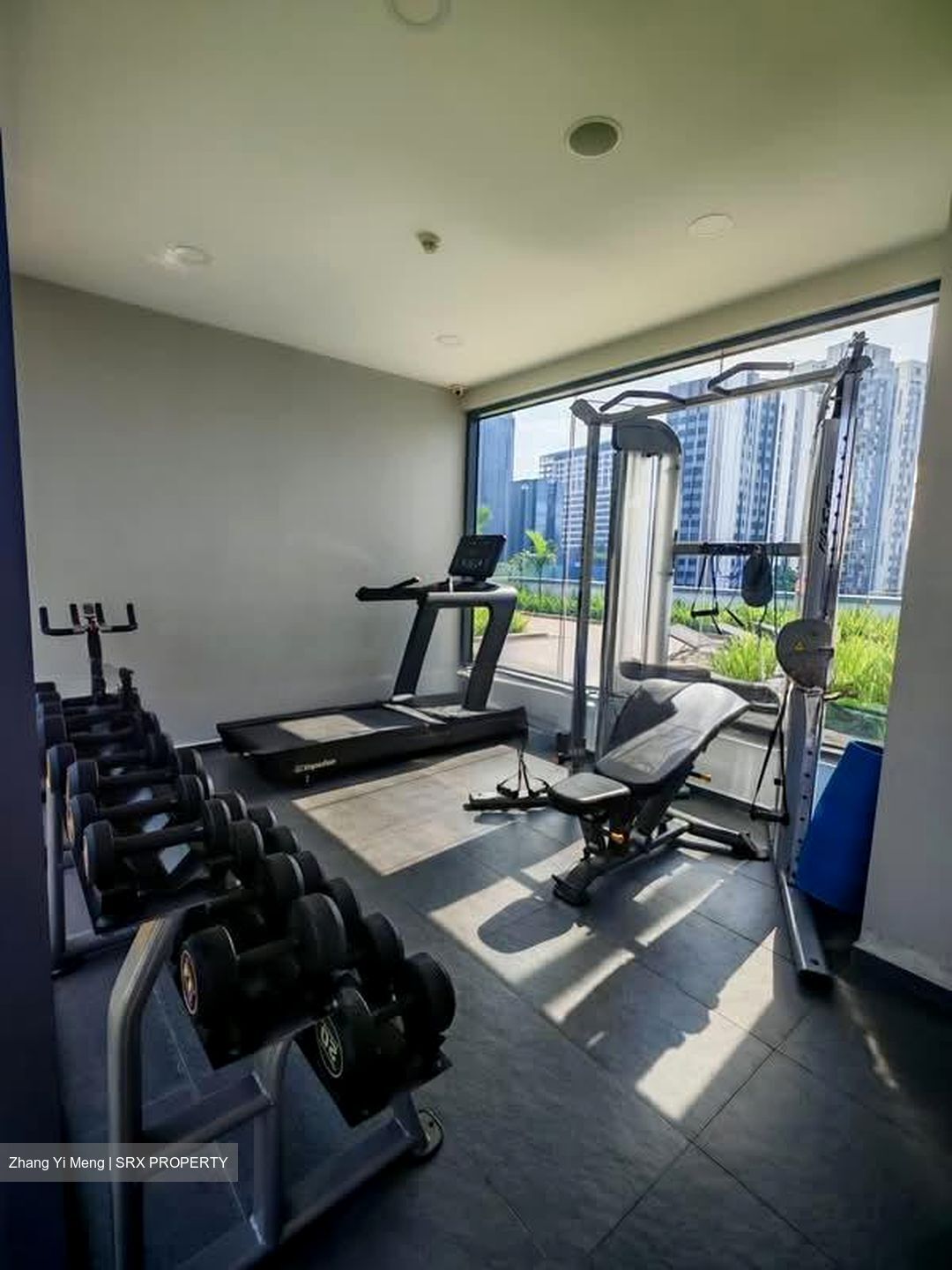 The Citron (D8), Apartment #586145351